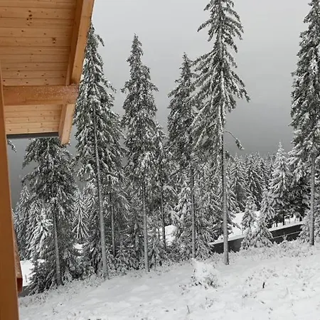 Chalet Theresa Bad Sankt Leonhard im Lavanttal Exterior photo