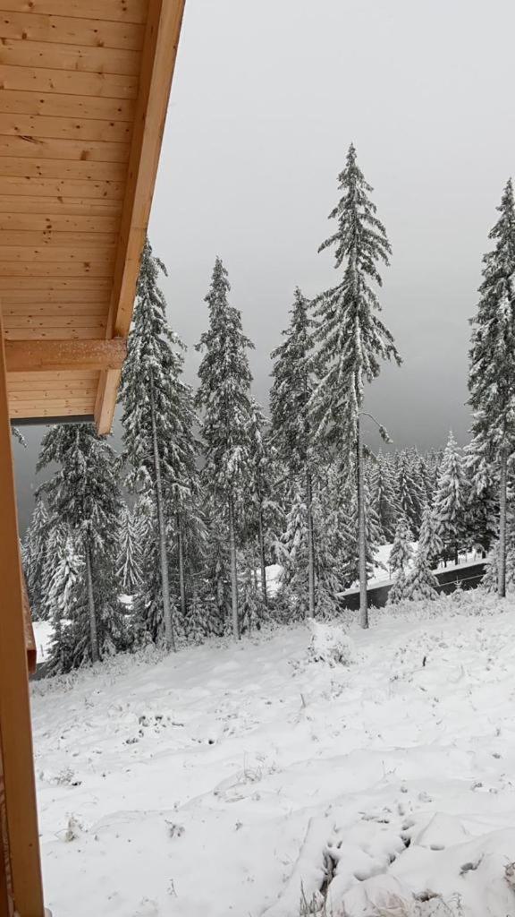 Chalet Theresa